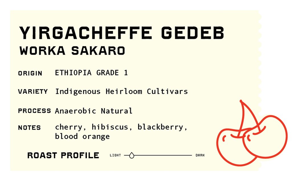 NEW* Natural Anaerobic Ethiopia